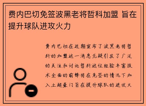 费内巴切免签波黑老将哲科加盟 旨在提升球队进攻火力